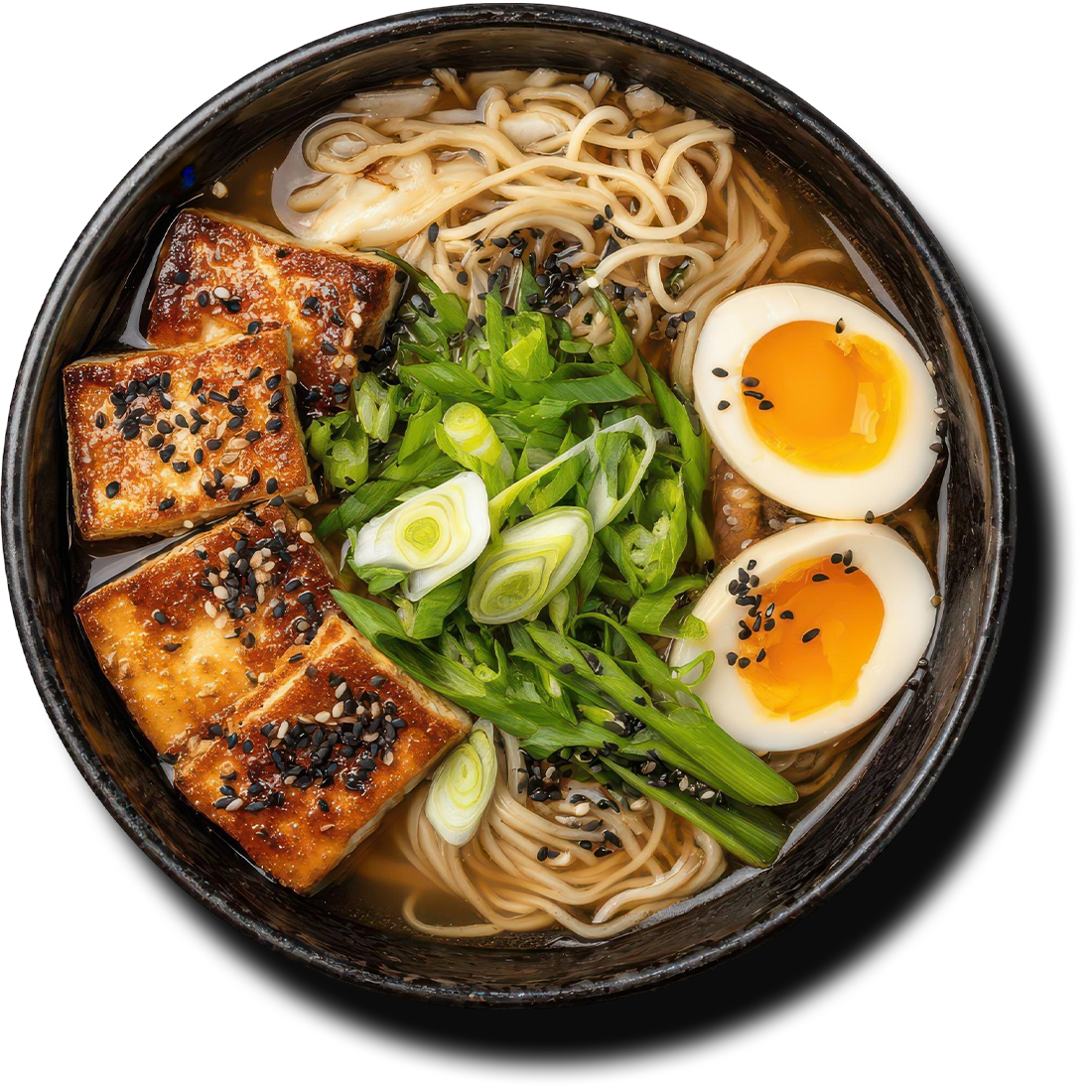 senko ramen zoetermeer-12